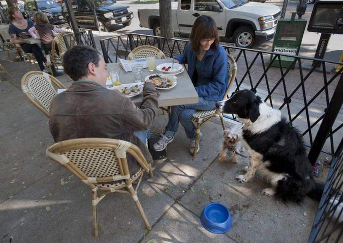 Modesto Bee reader Leslie Shaw Klinger asked our journalists with Bee Curious, a community-driven series where reporters answer reader questions about the Modesto region: “What dog friendly cafes and restaurants are available in Modesto or surrounding areas?”