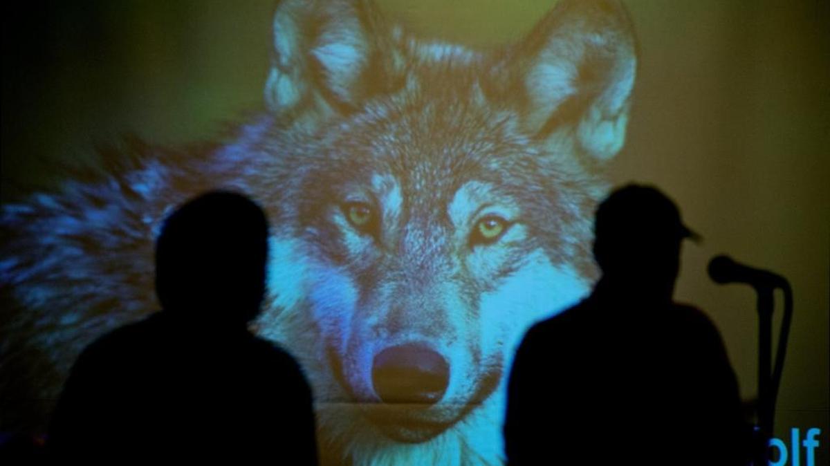 Speakers debate gray wolf protections before the California Fish and Game Commission in 2013. On Tuesday, farming and ranching associations sued to overturn the endangered species protections the commission granted in 2014.