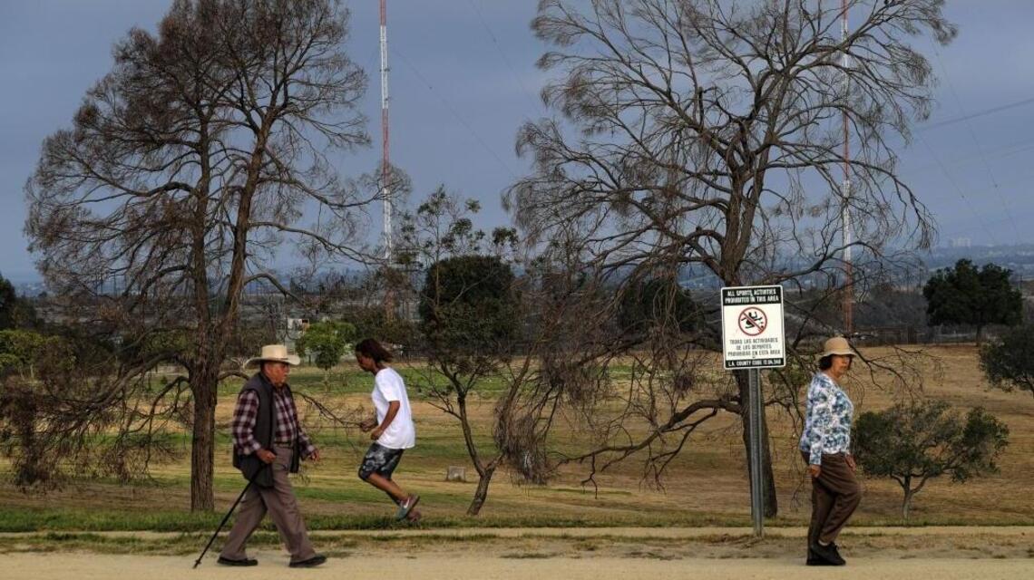 Los Angeles’ politicians use Capitol power to affect local issues