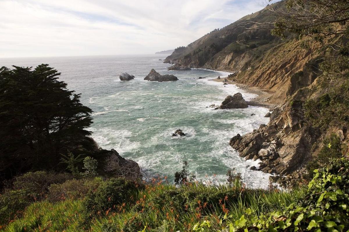 Julia Pfeiffer Burns State Park in Big Sur, California, overlooks the Pacific Ocean.