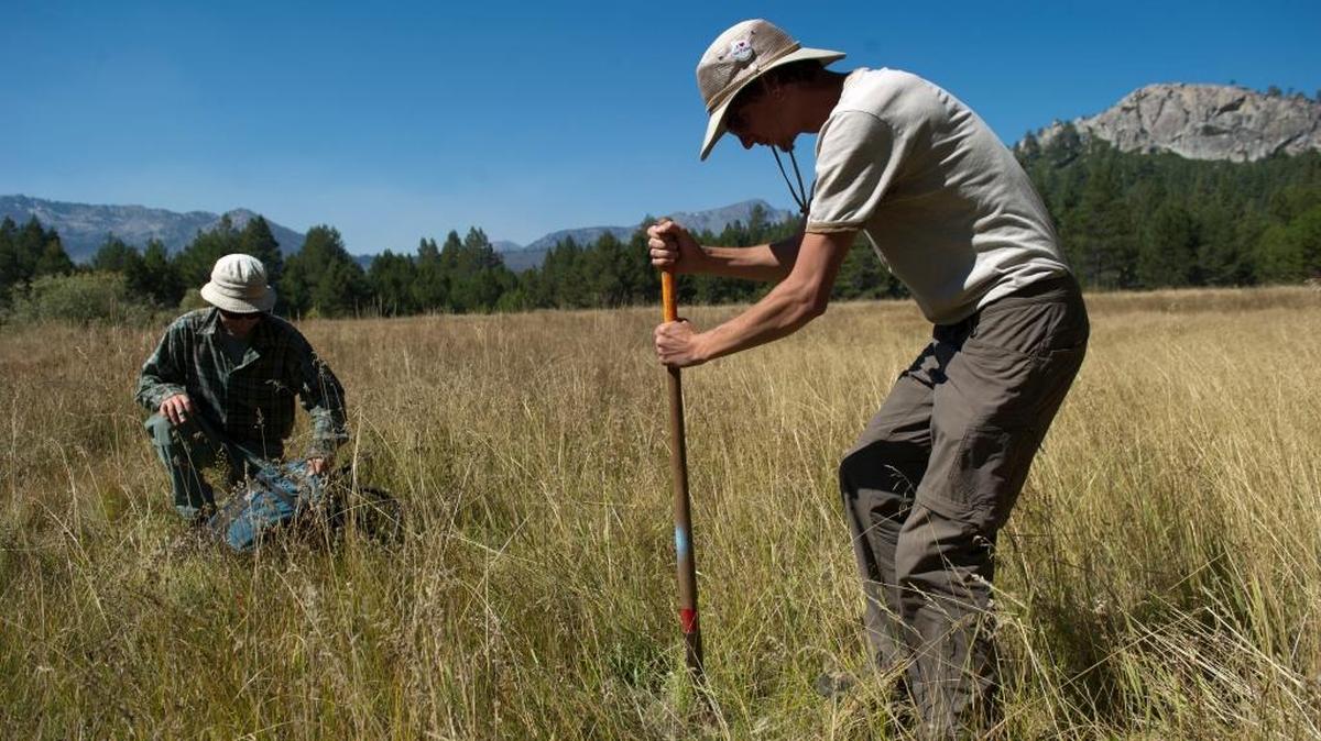 Daniel Lubin, left, an environmental scientist for the State Parks and Scott Tidball, a seasonal biologist, look at the soil near Lake Tahoe determine a wetland boundary. Their union is considering a new contract offer from the Brown administration.