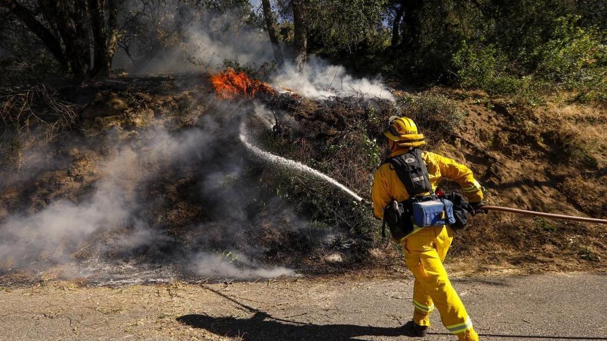 Cal Fire this year has an expanded budget to create a professional standards office that would carry out background checks and internal investigations. Last year, the department offered a job to a man who had been convicted of impersonating a firefighter during robberies.