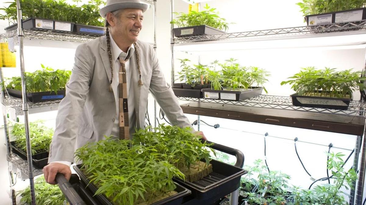 Steve DeAngelo, Executive Director, Harborside Health Center, a medical marijuana dispensary in Oakland.