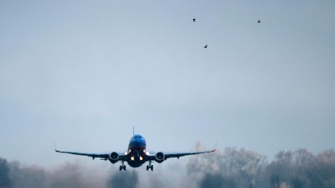 State employees couldn’t use California funds to visit states that sanction or require discrimination on the basis of “sexual orientation, gender identity or gender expression” under a bill proposed in the Assembly.