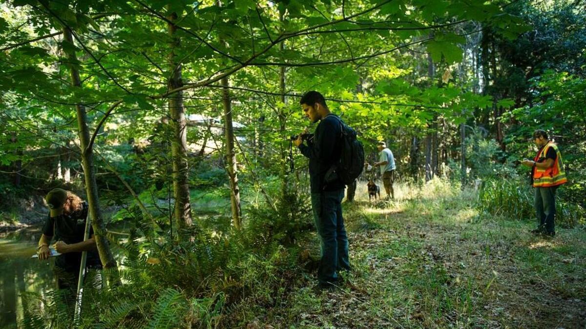 A senior environmental scientist and water resource engineers with the State Water Resources Control Board inspect the property of marijuana growers near Willow Creek in Mendocino County, Calif.