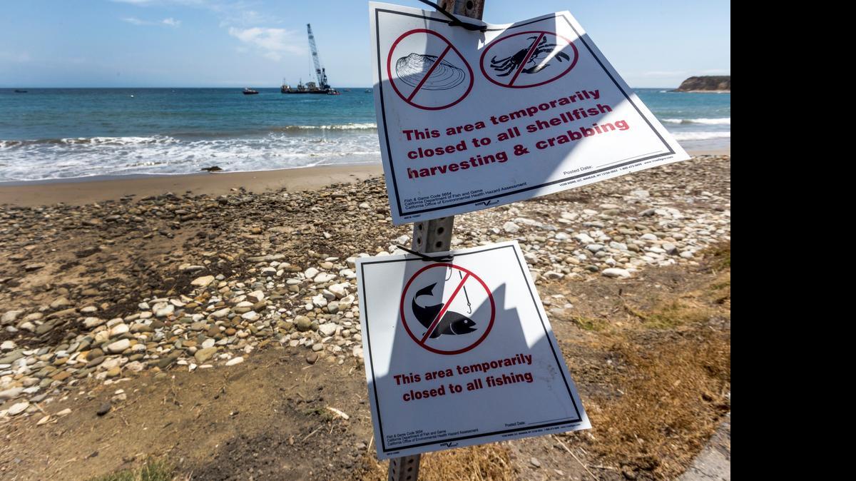 
Warning signs posted by the California Department of Fish and Game mark closed areas affected by an oil spill at Refugio State Beach. Some of the cleanup at the beach was done by members of the California Association of Professional Scientists.
