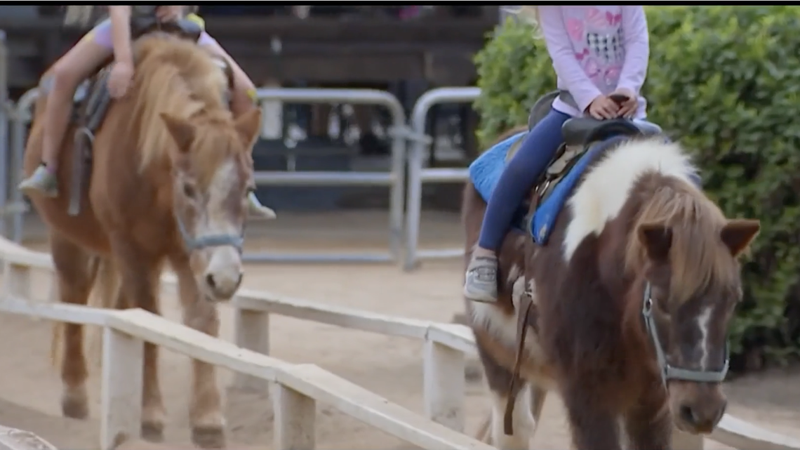 Griffith Park Pony Rides has been operating for 74 years. Their contract with Los Angeles Parks and Recreation has not been renewed, so the attraction is closing on Dec. 21, 2022.