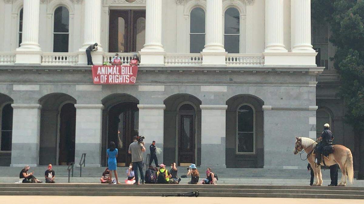Direct Action Everywhere protesters unfurl a banner at the state Capitol in Sacramento, Calif., on Friday, Oct. 2, 2020, calling on state officials to adopt a bill of rights for animals.