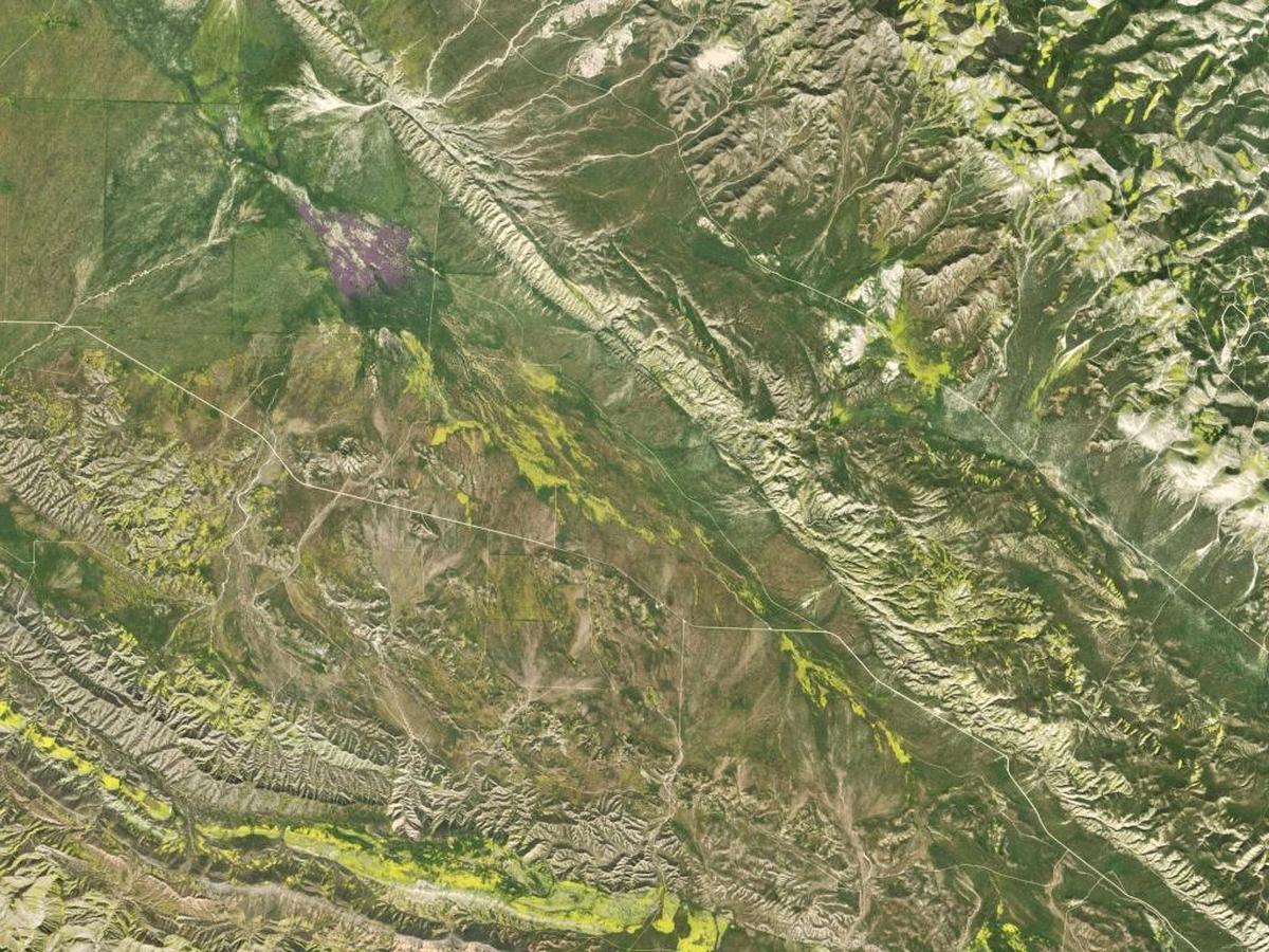 Satellite image of the Carrizo Plain National Monument on March 31, 2017.