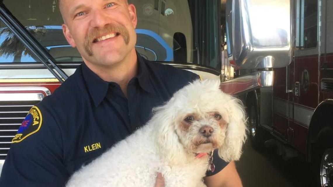 In this photo released by dog owner Crystal Lamirande, Santa Monica firefighter Andrew Klein holds Nalu on Thursday. Klein spent several minutes giving mouth-to-snout resuscitation to the dog, who was pulled from a burning apartment in Santa Monica.