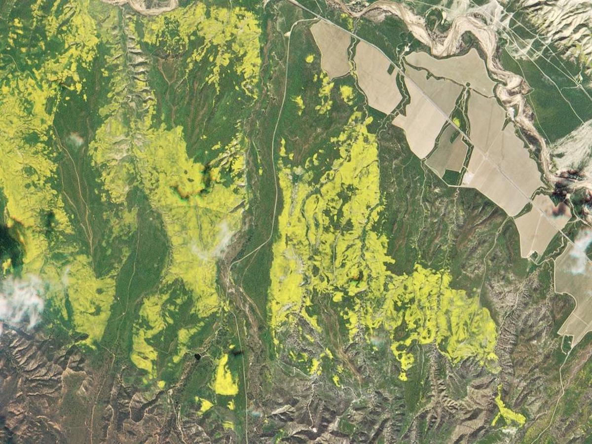 Satellite image of Los Padres National Forest on March 27, 2016.