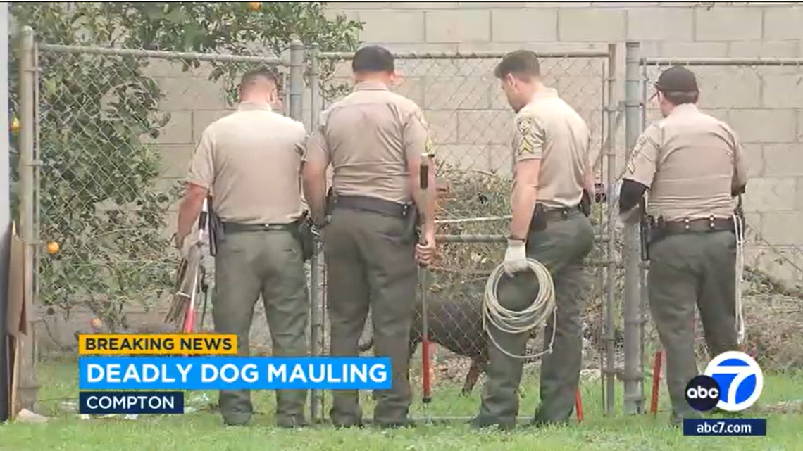 A California man was killed in a backyard dog attack, officials said.