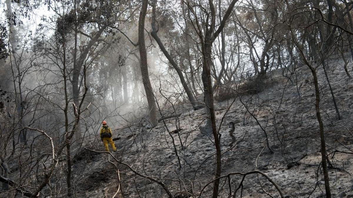 A firefighter with Los Angeles County checks for hot spots along Highway 26 in Mokelumne Hill during the Butte fire in September, which denuded 71,000 acres and burned 475 homes. Mudslides and flash floods are the main concerns in counties hit hard by wildfires this fall as they find themselves racing against time to clean debris and shore up hillsides as winter rains set in.