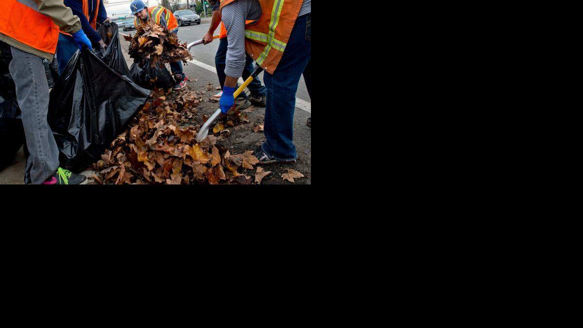 
Benjamin Ward, center, with the Sheriff’s Work Project, helps clear leaves on Tuesday, along Folsom Boulevard in Sacramento in preparation for the pending storm due to hit the area late Wednesday.
