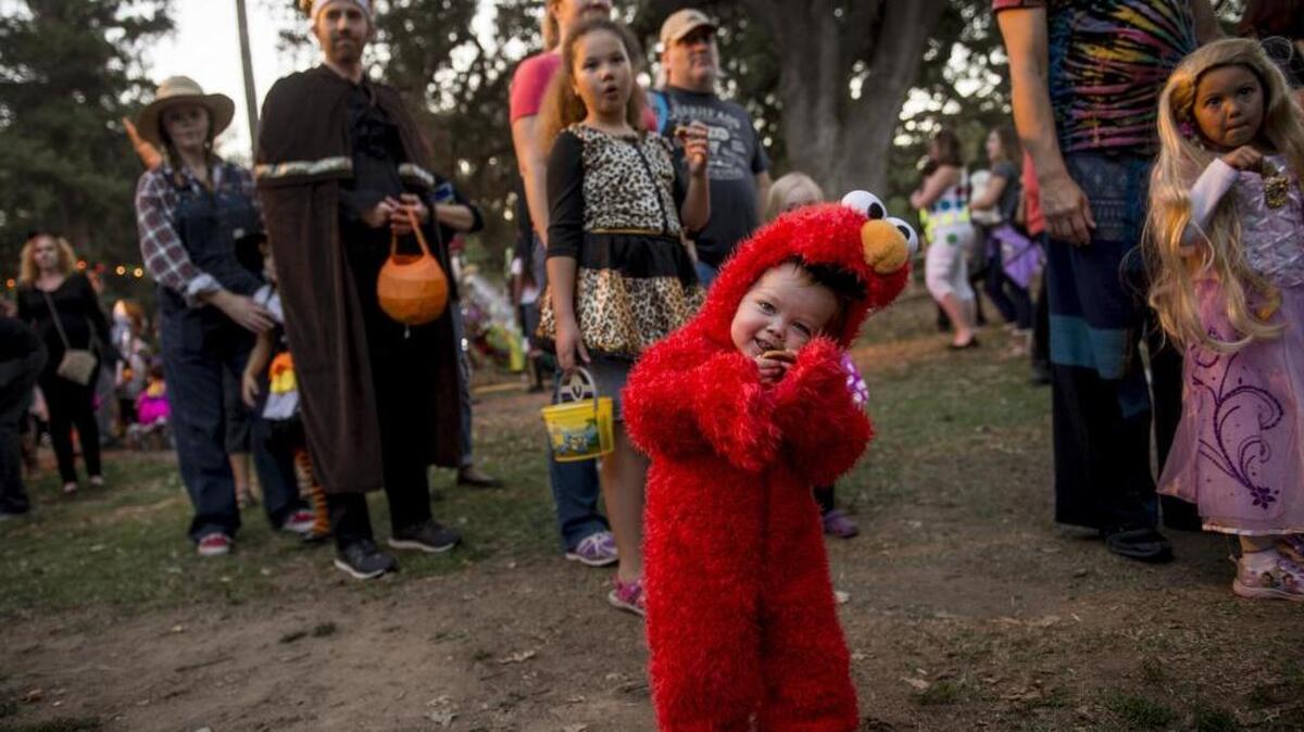 Jace Nakayama, who is 20-months old, dresses up as Elmo from Sesame Street for the Boo at the Zoo event at the Sacramento Zoo on Friday, Oct. 30, 2015, in Sacramento.