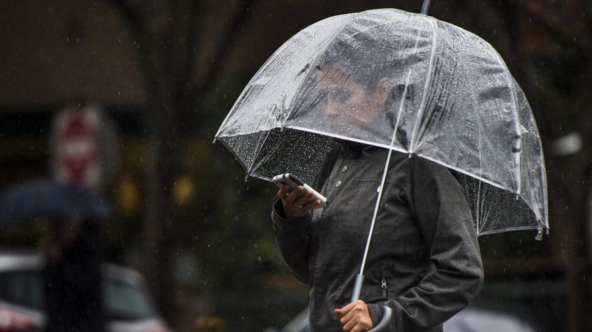 A pedestrian keeps dry and checks her mobile phone walking along F Street in Davis, Calif., on Thursday, December 15, 2016. Sacramento might break its record for dryness this time of year on Tuesday.
