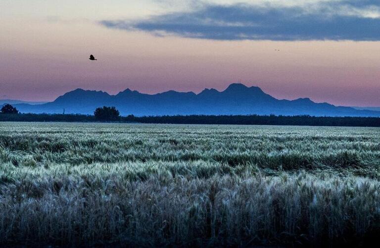 Could ‘world’s smallest mountain range’ get new name? What Sutter Buttes could be called