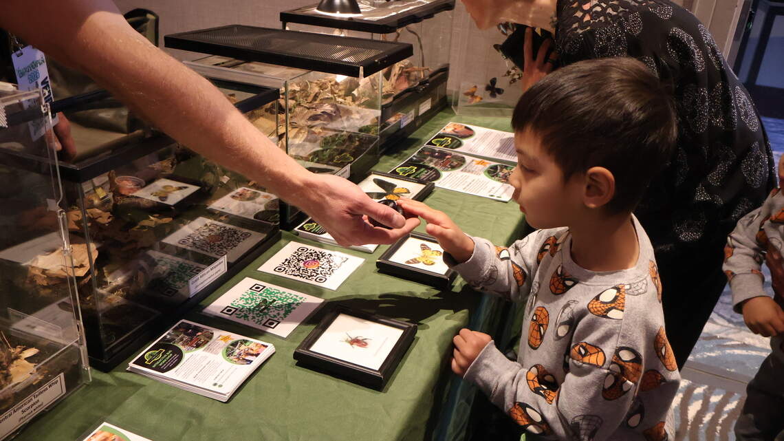 Sacramento crawls with bug lovers — some in costume — at inaugural Bugtopia expo