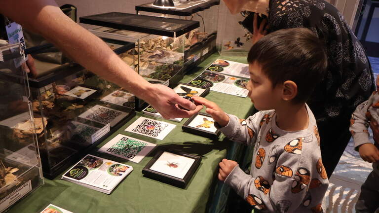 Sacramento crawls with bug lovers — some in costume — at inaugural Bugtopia expo
