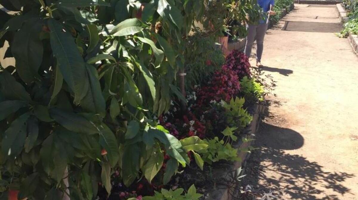 Tucked behind the deep-fried booths and midway, the California State Fair Farm is a hidden respite from the grease and noise.