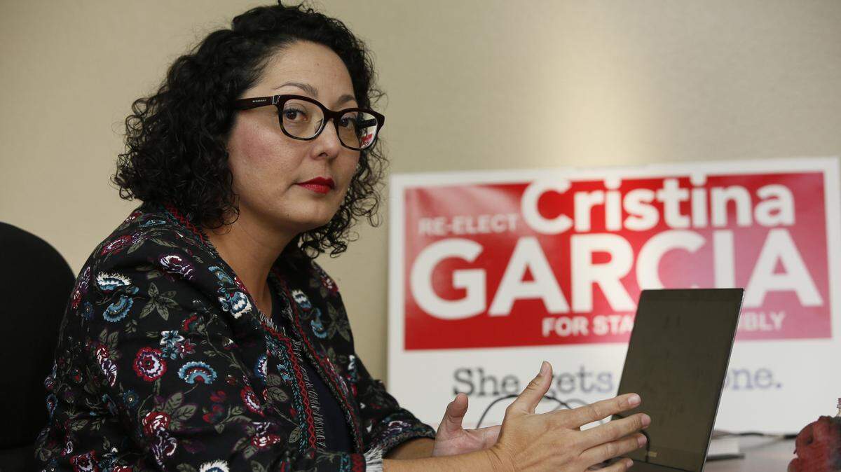 In this Friday, April 27, 2018 photo, California Assemblywoman Cristina Garcia, D-Bell Gardens, poses for picture at her campaign headquarters in Downey, Calif.  (AP Photo/Damian Dovarganes)