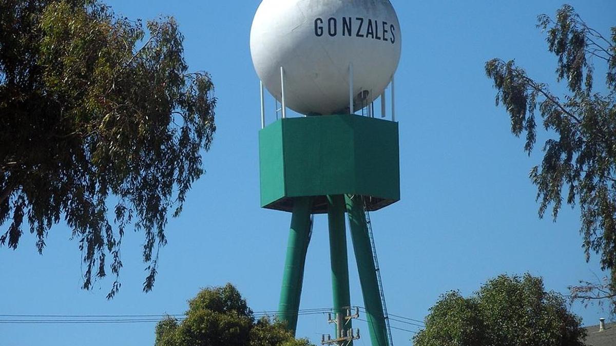 A landmark water tower in the Salinas Valley community of Gonzales, which has grown its tax base by double digits and added some 1,200 new jobs.