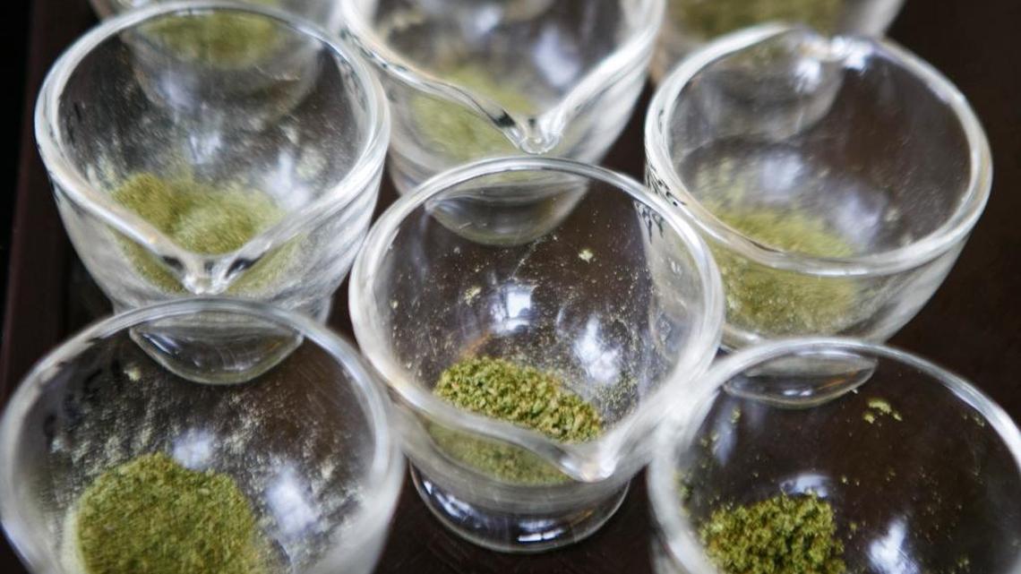 Marijuana is ground up before being tested for potency at a lab in Yakima, Wash. The California initiative to legalize recreational marijuana makes no mention of limiting the potency.