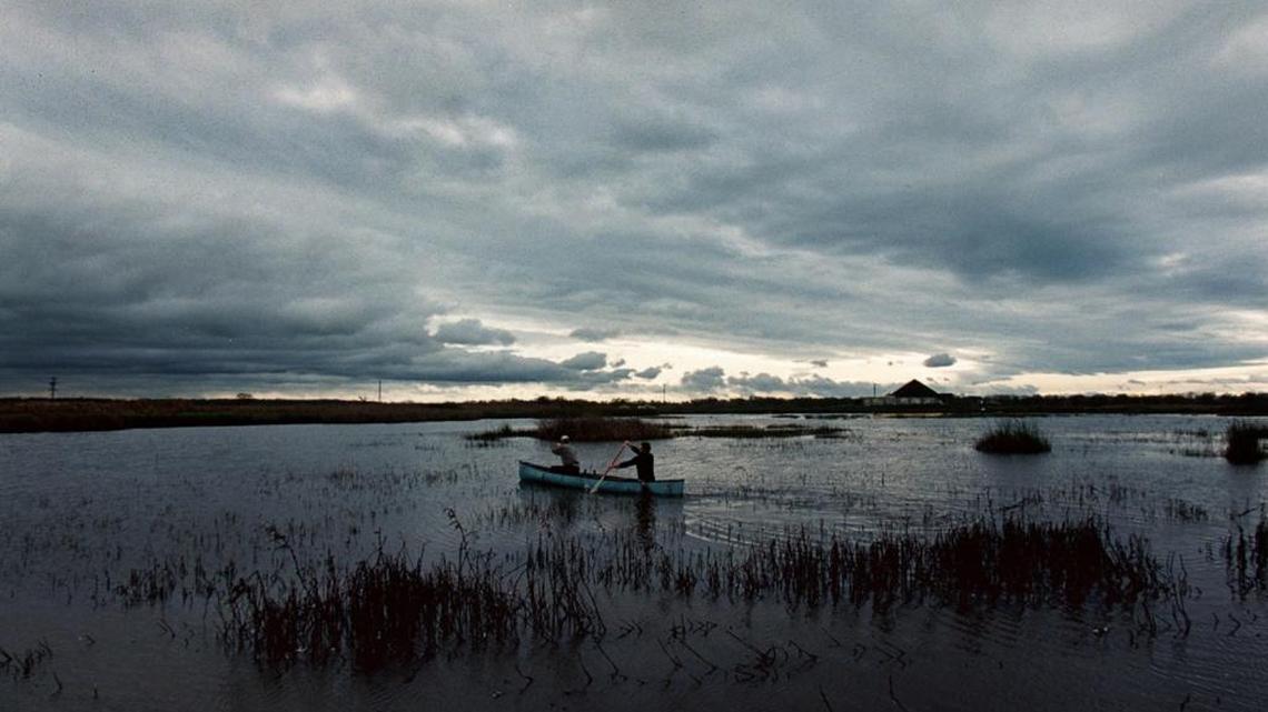 Restoring and maintaining salmon in the wild, dam-free Cosumnes is a unique opportunity.