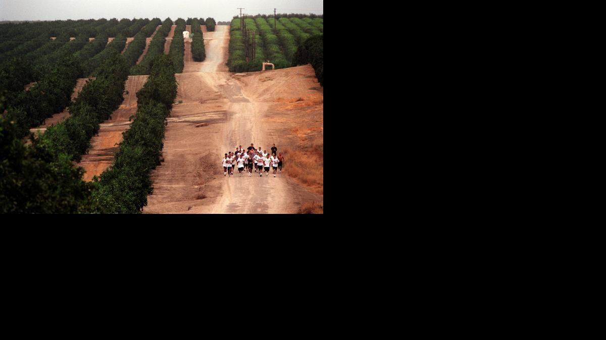 
Members of the McFarland High School cross-country team train while running through the vineyards of McFarland in 1997.
