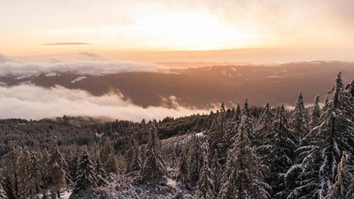 The proposed legislation would protect this spot on Horse Mountain in Six Rivers National Forest, one of dozens of ecologically significant areas within the 326,000 acres slated for conservation.