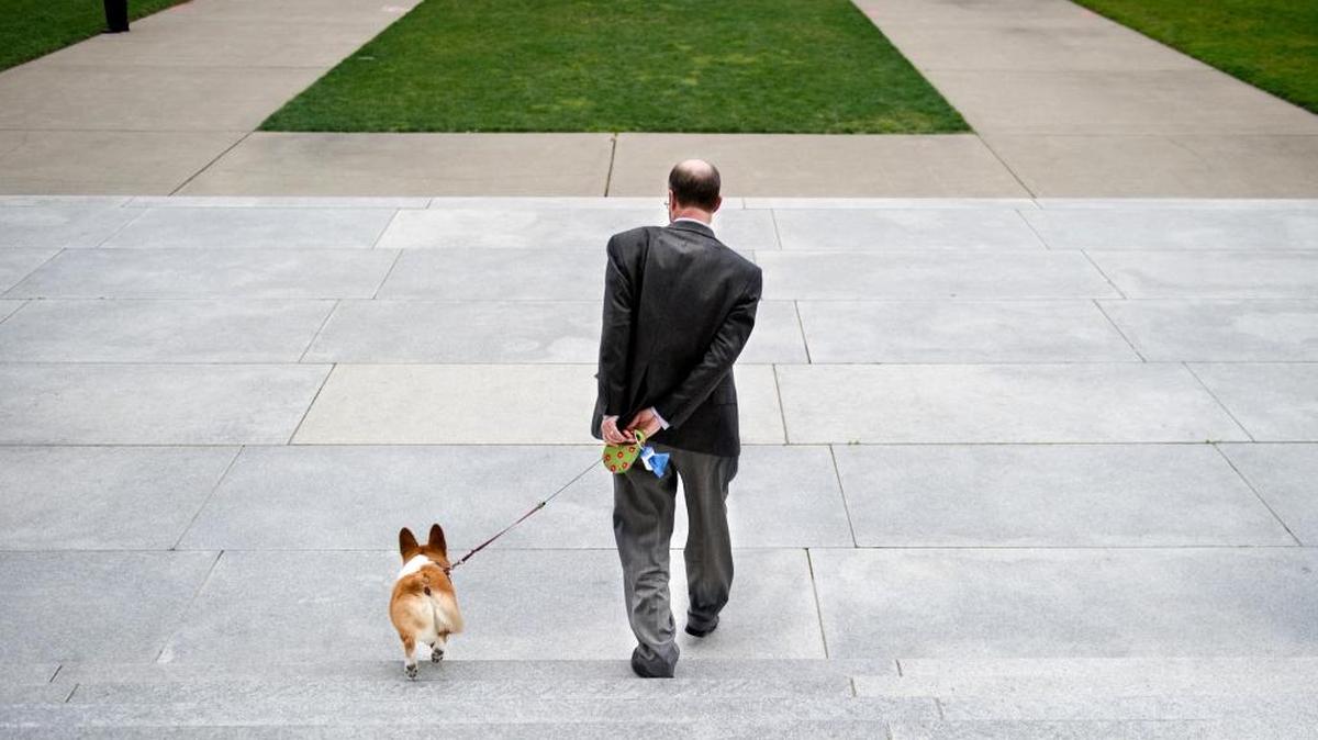 Steven Glazer takes Sutter for a walk before his first meeting with the press as California’s first dog at the State Capitol Feb. 14, 2011.