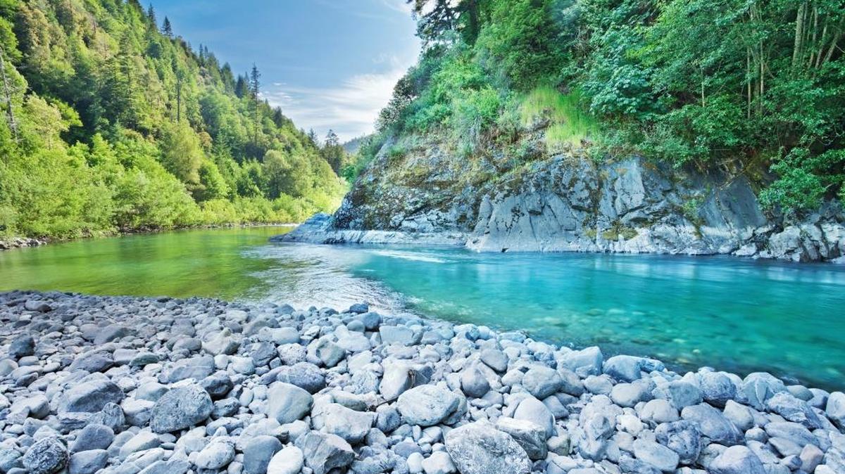 The waters of Blue Creek, which flow into the Klamath River, are poised for protection under an ambitious partnership between the Yurok Tribe and the Western Rivers Conservancy.