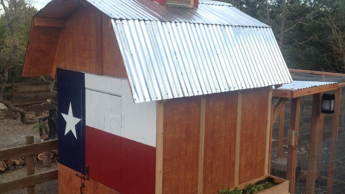 Former California lawmaker and conservative Chuck DeVore, who now works in Texas, found he could build a chicken coop in Texas more readily than he could pass a law in liberal California. Shown here, DeVore’s “Palatio Pulli Thor,” or “Thor’s Chicken Palace,” complete with Lone Star.