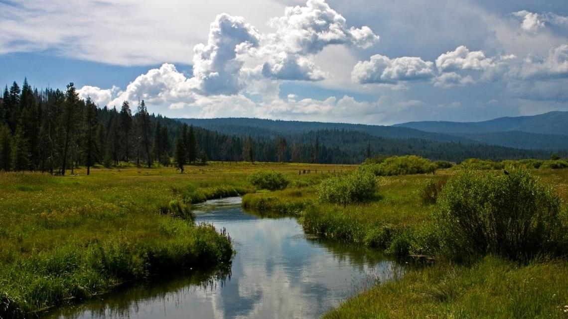 Southwest of Lake Almanor, Yellow Creek winds through Humbug Valley, now owned and managed by the Maidu Summit Consortium to conserve traditional Native American natural resources.