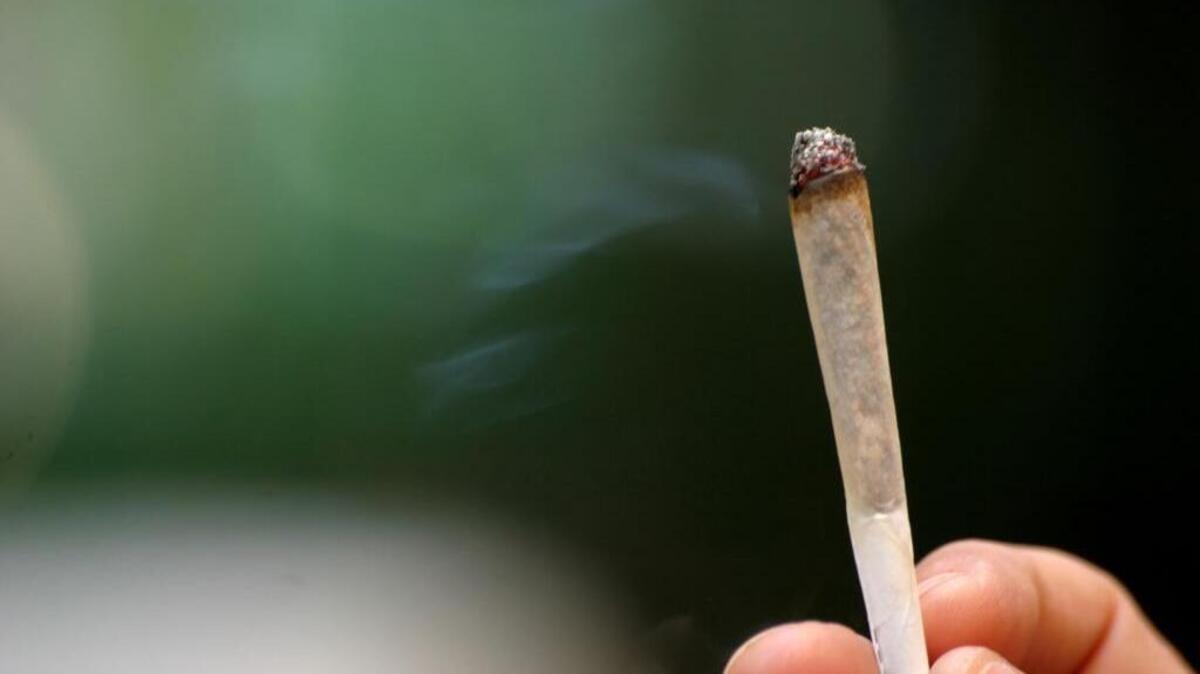 When confronted with the science of how damaging pot is to the developing brain, her son’s response was: fake news.