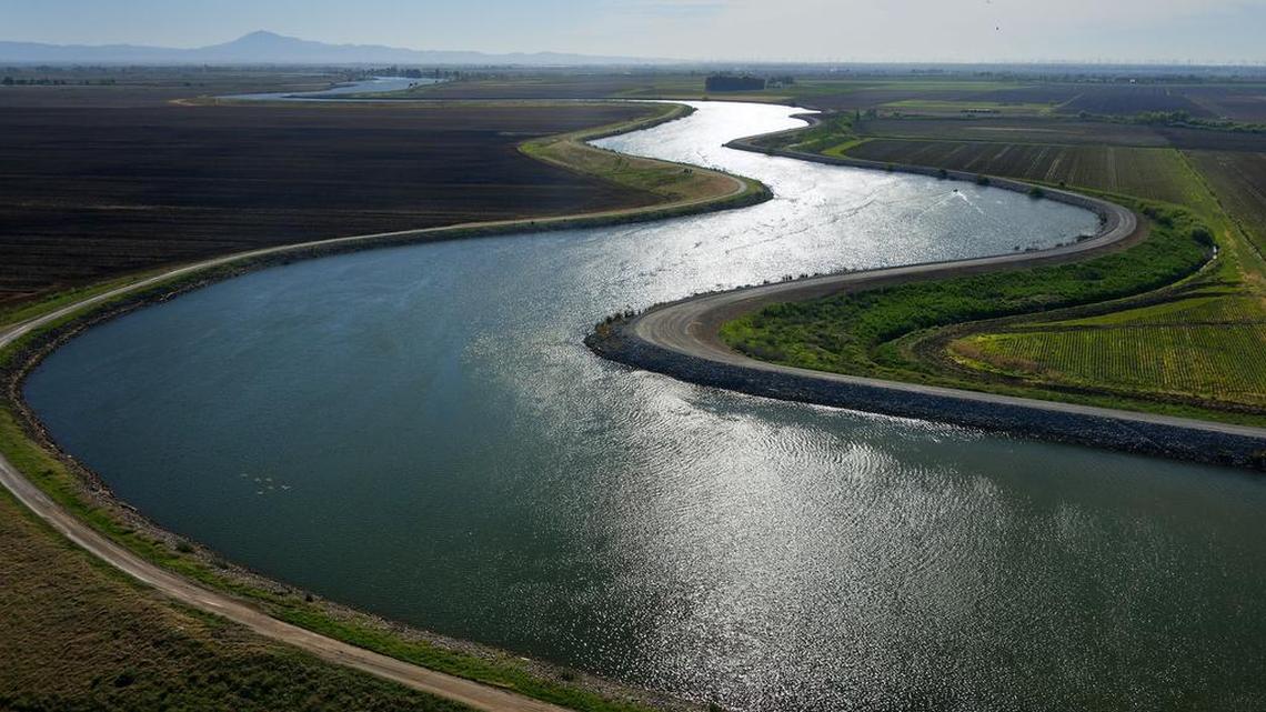 Which animals are endangered in California? Here are 10 species to watch