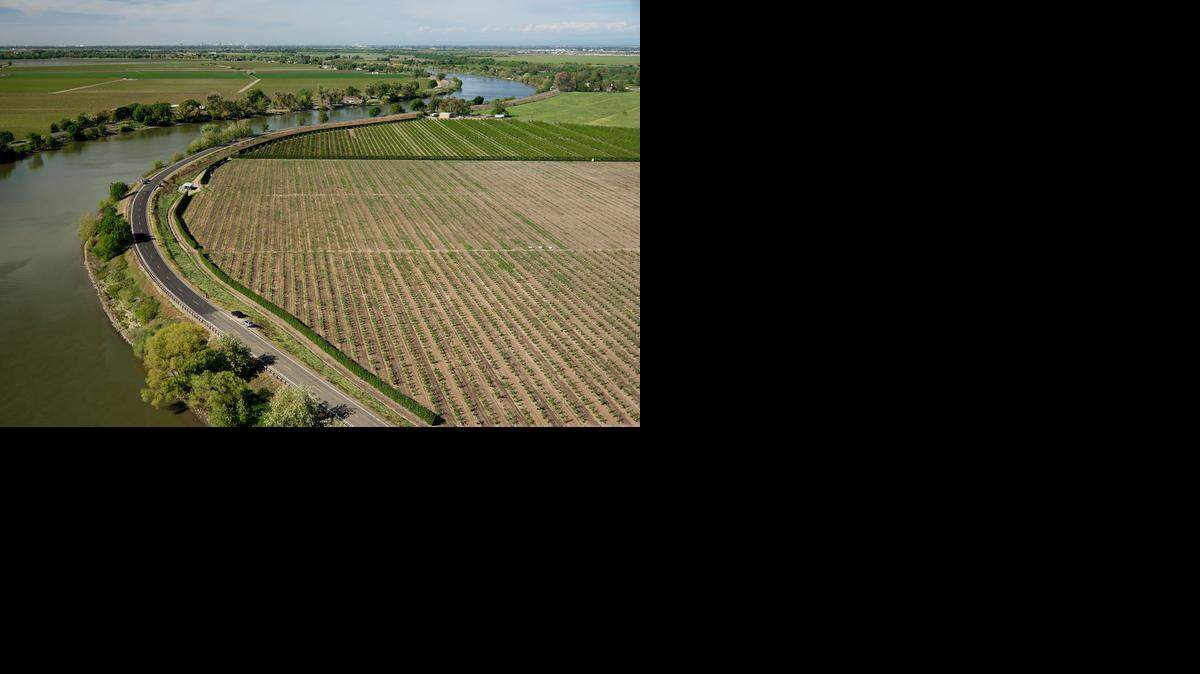 
The Sacramento-San Joaquin Delta region is at the heart of a debate that affects the entire state.

