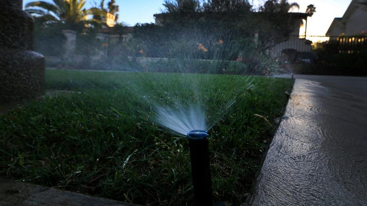 Sprinklers water a lawn at dusk, when there is less evaporation than daytime. But oscillating sprinklers are the most efficient.
