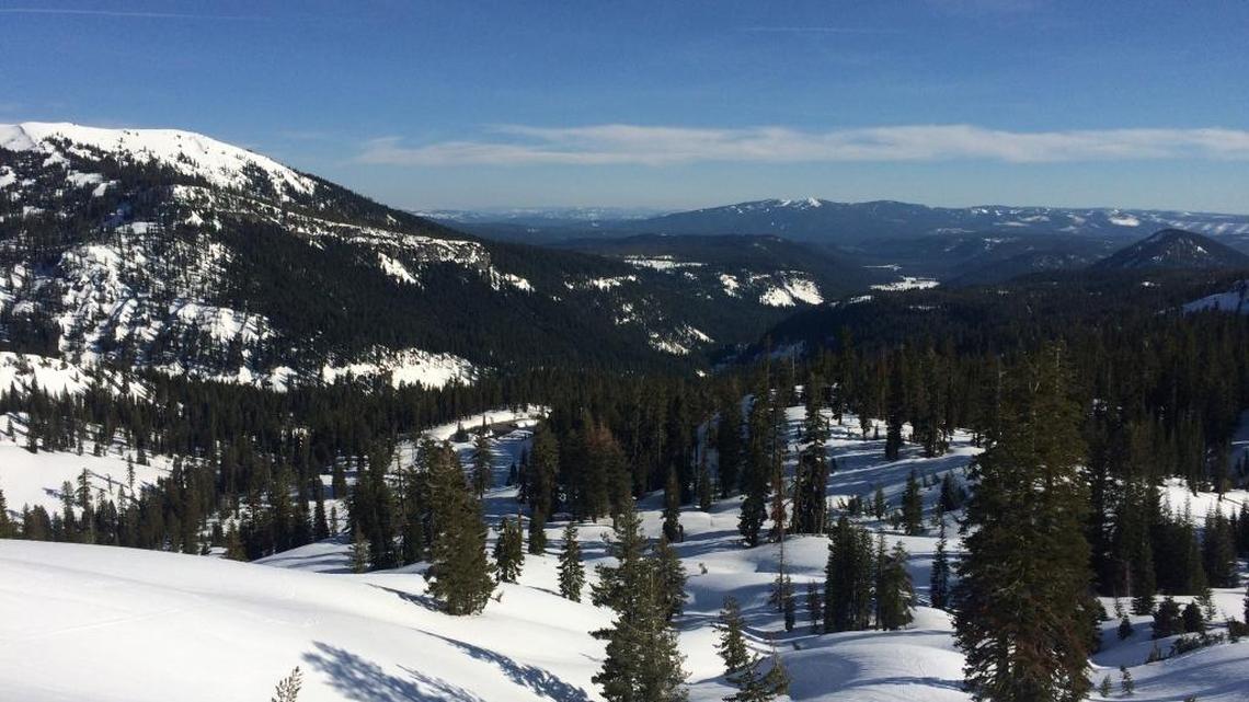 Collins Pine Co., a private timber company in Plumas County, manages this stand of mixed conifers in the Deer Creek watershed near Lassen Volcanic National Park.