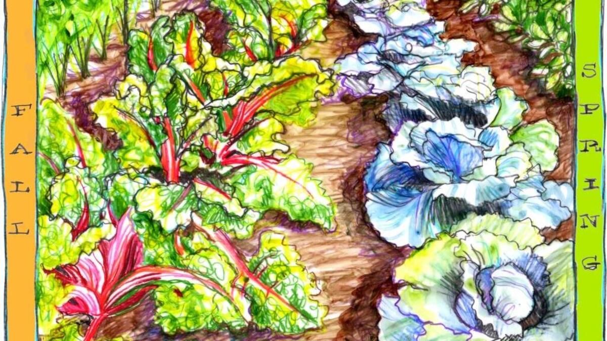 Anything you grow that goes straight into your kitchen tastes better than anything you can buy.