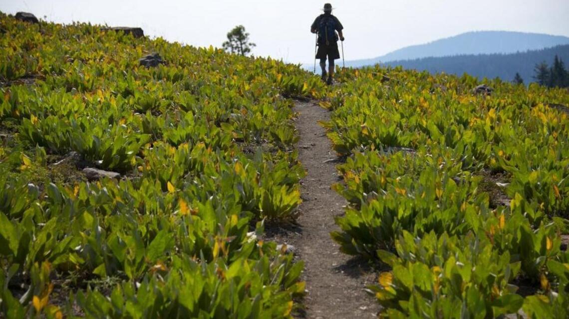 ‘Stomach flu’ outbreak slams hikers on California section of Pacific Crest Trail