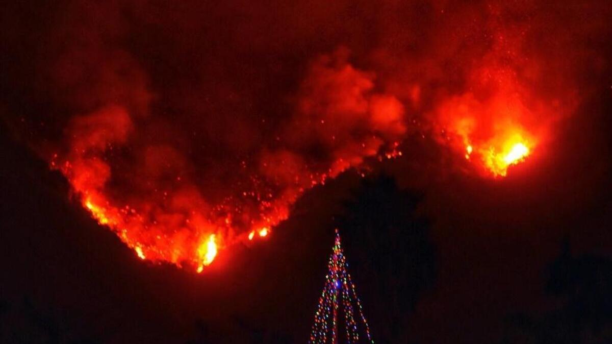 A Christmas tree stands as a lone sentinel in the front yard of an evacuated home in Carpinteria on Dec. 11, 2017, as the Thomas fire, burning since Dec. 4, exploded into Santa Barbara County on Monday, becoming the fifth largest in state history. (Mike Eliason/Santa Barbara County Fire Department via AP)