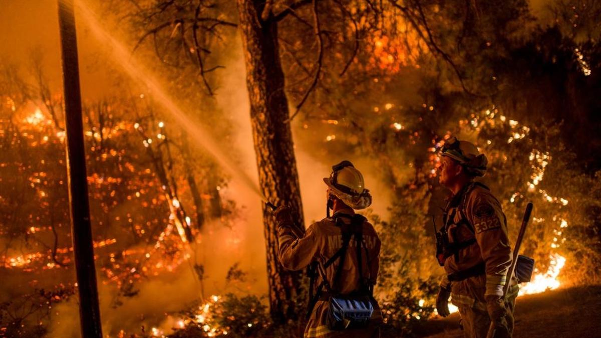 
Fire crews used controlled burns to contain the Butte Fire in Sheep Ranch last month. Firefighters this year faced erratic infernos that raced up hills, then reversed themselves, charging back down with a fury even the most seasoned firefighters had never experienced. 
