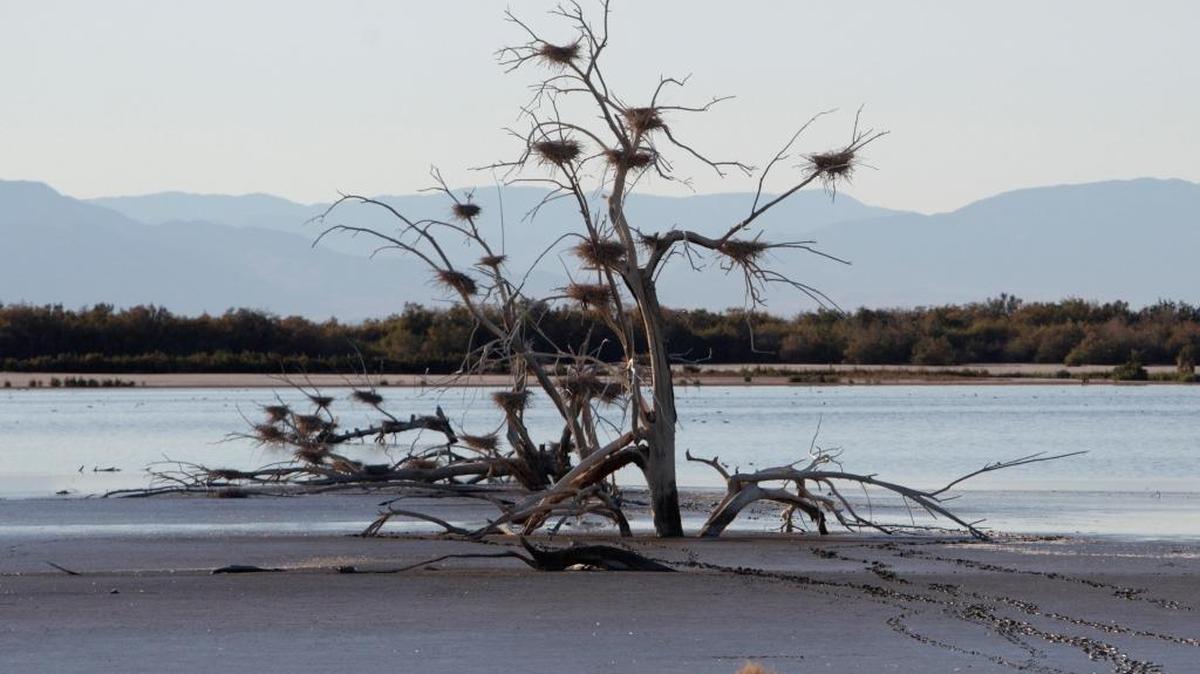 As Imperial farmers conserve water, agricultural runoff to the Salton Sea is reduced. Evaporation shrinks the sea, exposing dry lakeshore and toxic dust, which is a threat to those living in the region.