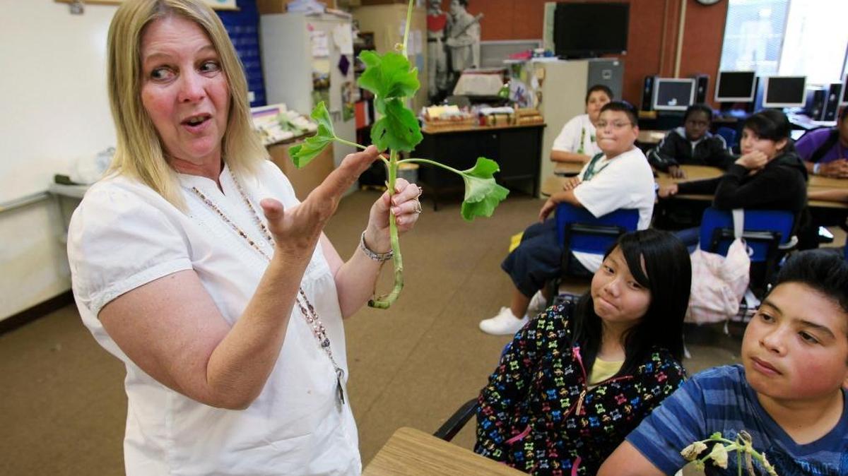 Debra Keyes teaches a class in 2011 at Van Buren Elementary School in Stockton. Van Buren is one of California’s lowest performing schools and a plaintiff in a lawsuit brought in December 2017 by the advocacy firm Public Counsel, charging that California has not done enough about the high number of school children in the state who cannot read. (AP Photo/Paul Sakuma, file)