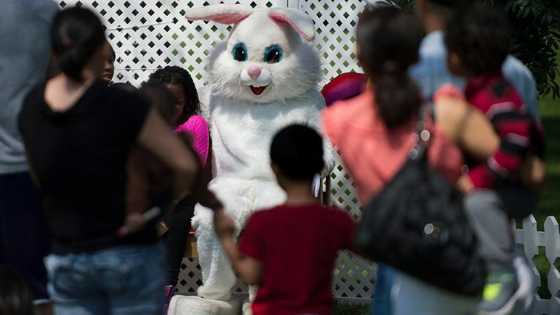 Explaining the Easter bunny to newcomers to America can be a challenging experience.