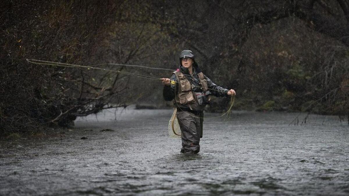 A fisherman – no, it’s not Jack Ohman – casts his line in Putah Creek in 2014. Small bait shops with inside know ledge are invaluable to serious anglers, Ohman writes.