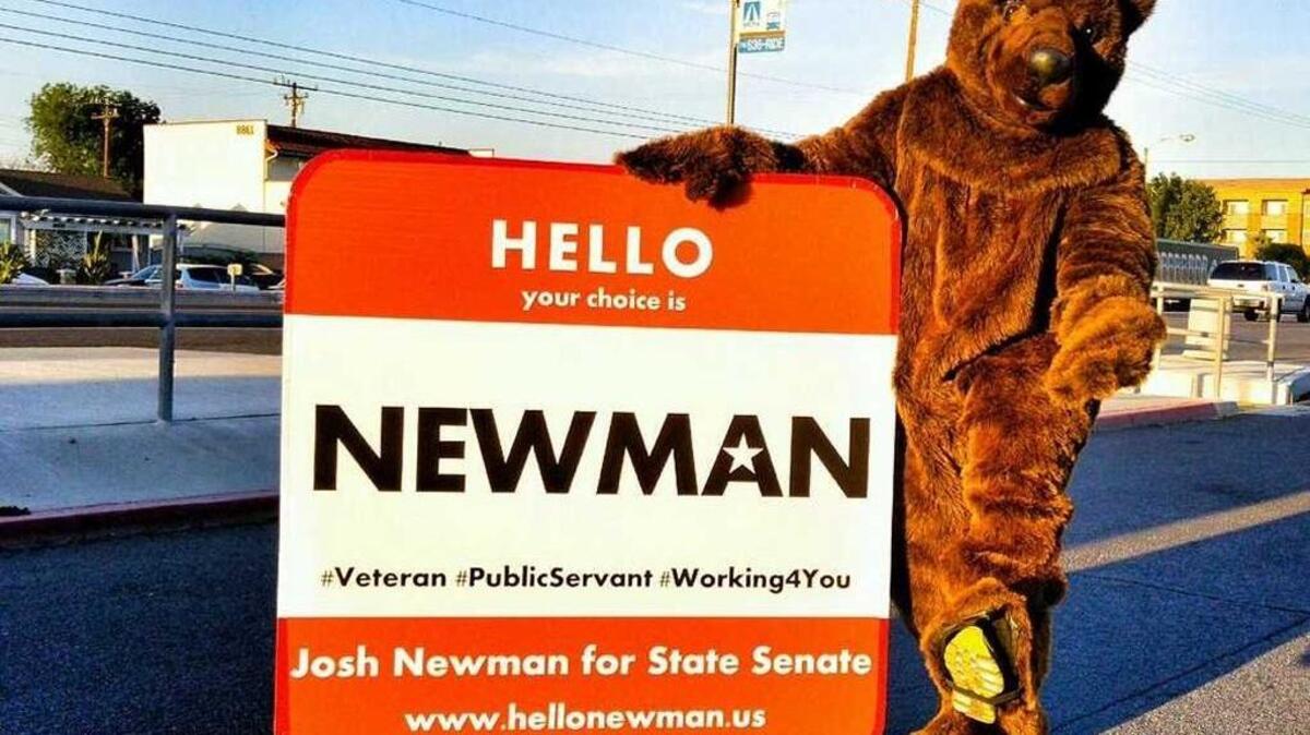 Josh Newman, D-Fullerton, campaigned in a bear suit when he ran for the 29th District State Senate seat. It worked, oddly enough.