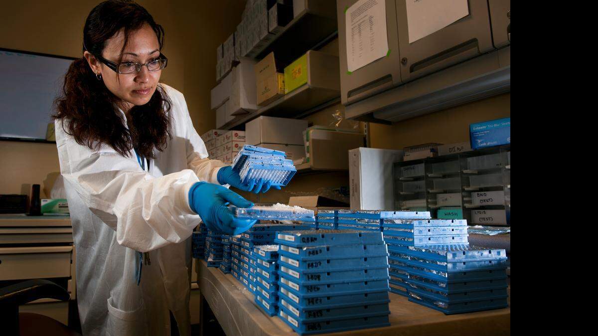
A lab technician sorts frozen DNA saliva samples at the Kaiser Permanente Division of Research in Oakland for a massive precision medicine project with the University of California, San Francisco. UC San Francisco has been at the forefront of the revolutionary and data-heavy field.
