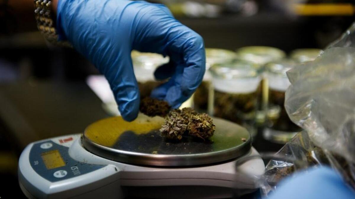 A clerk weighs medical marijuana. With recreational cannabis legalized in California, state lawmakers are finalizing rules.